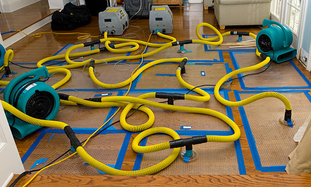 Professional Burst Pipe Water Damage technician working in Aurora, MO